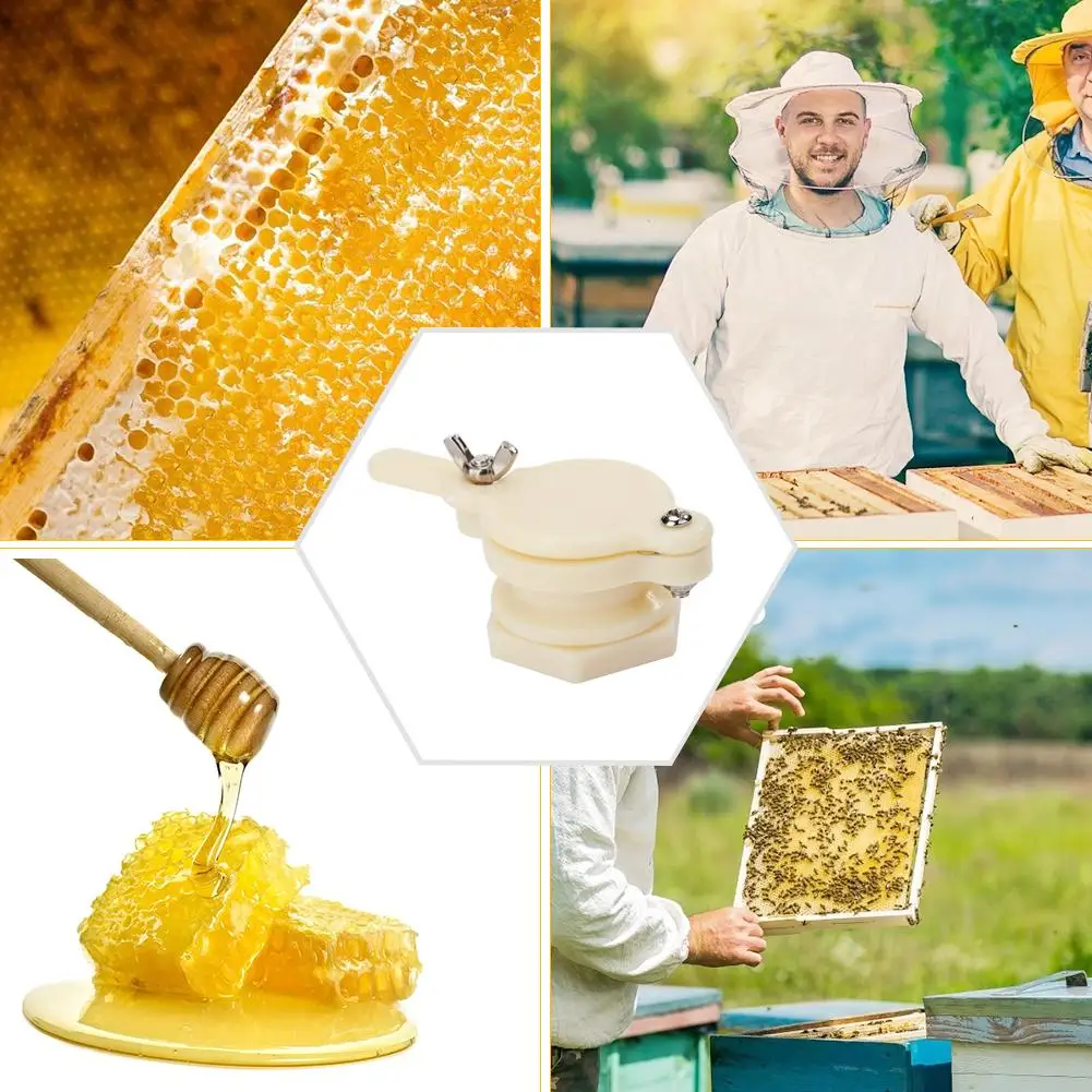 Méhészet – Wikipédia